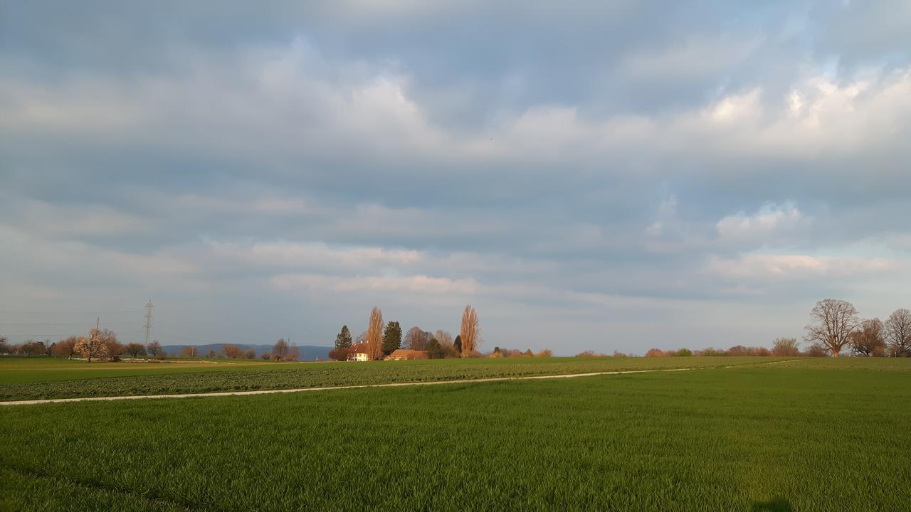 Mybednbreakfast In Bottmingen Bed and Breakfast Buitenkant foto