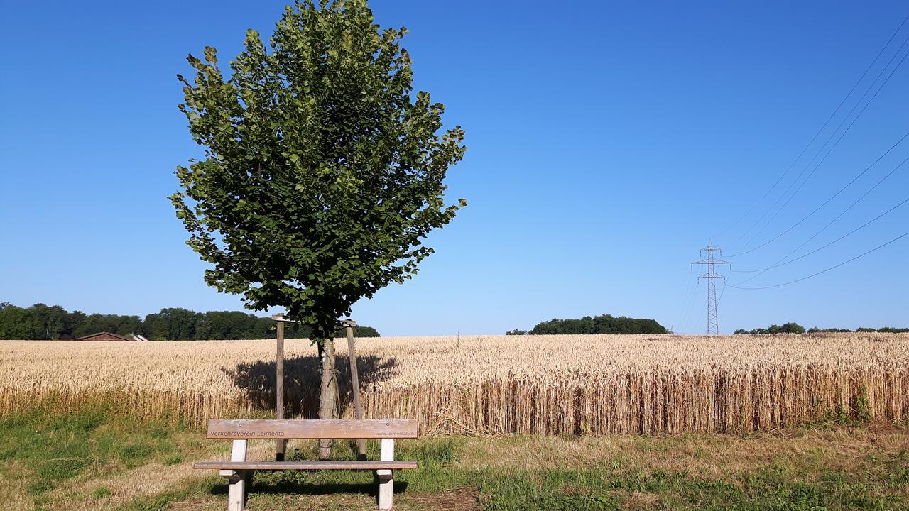 Mybednbreakfast In Bottmingen Bed and Breakfast Buitenkant foto