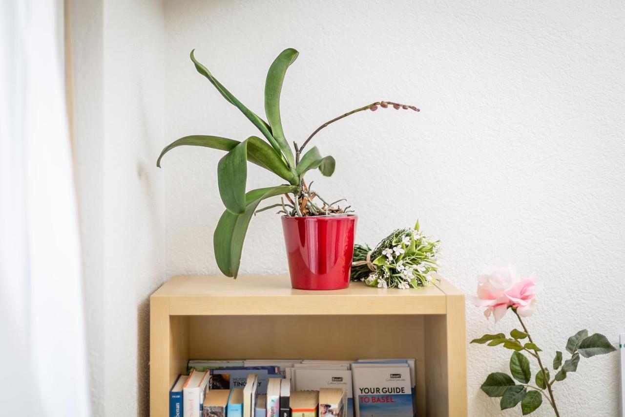 Mybednbreakfast In Bottmingen Bed and Breakfast Buitenkant foto