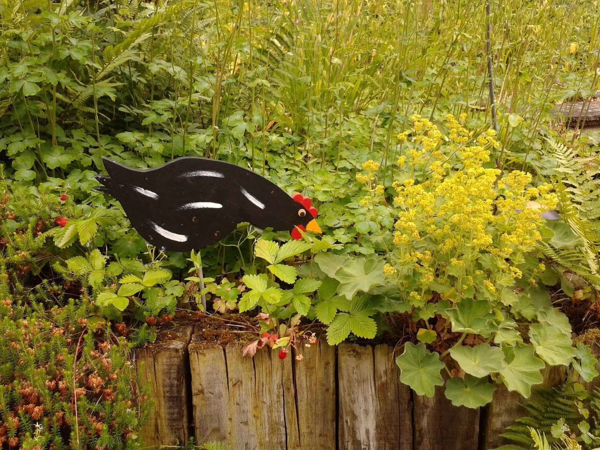 Mybednbreakfast In Bottmingen Bed and Breakfast Buitenkant foto