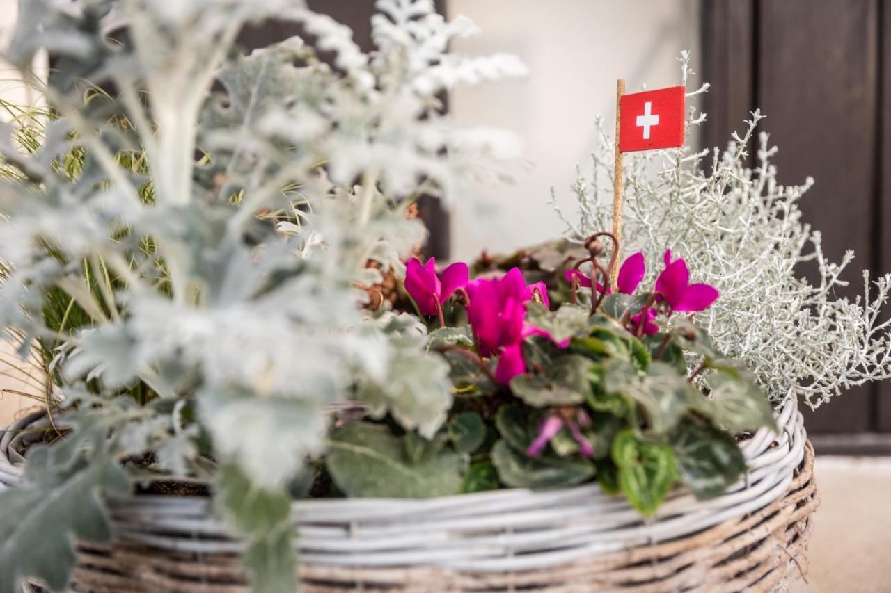 Mybednbreakfast In Bottmingen Bed and Breakfast Buitenkant foto
